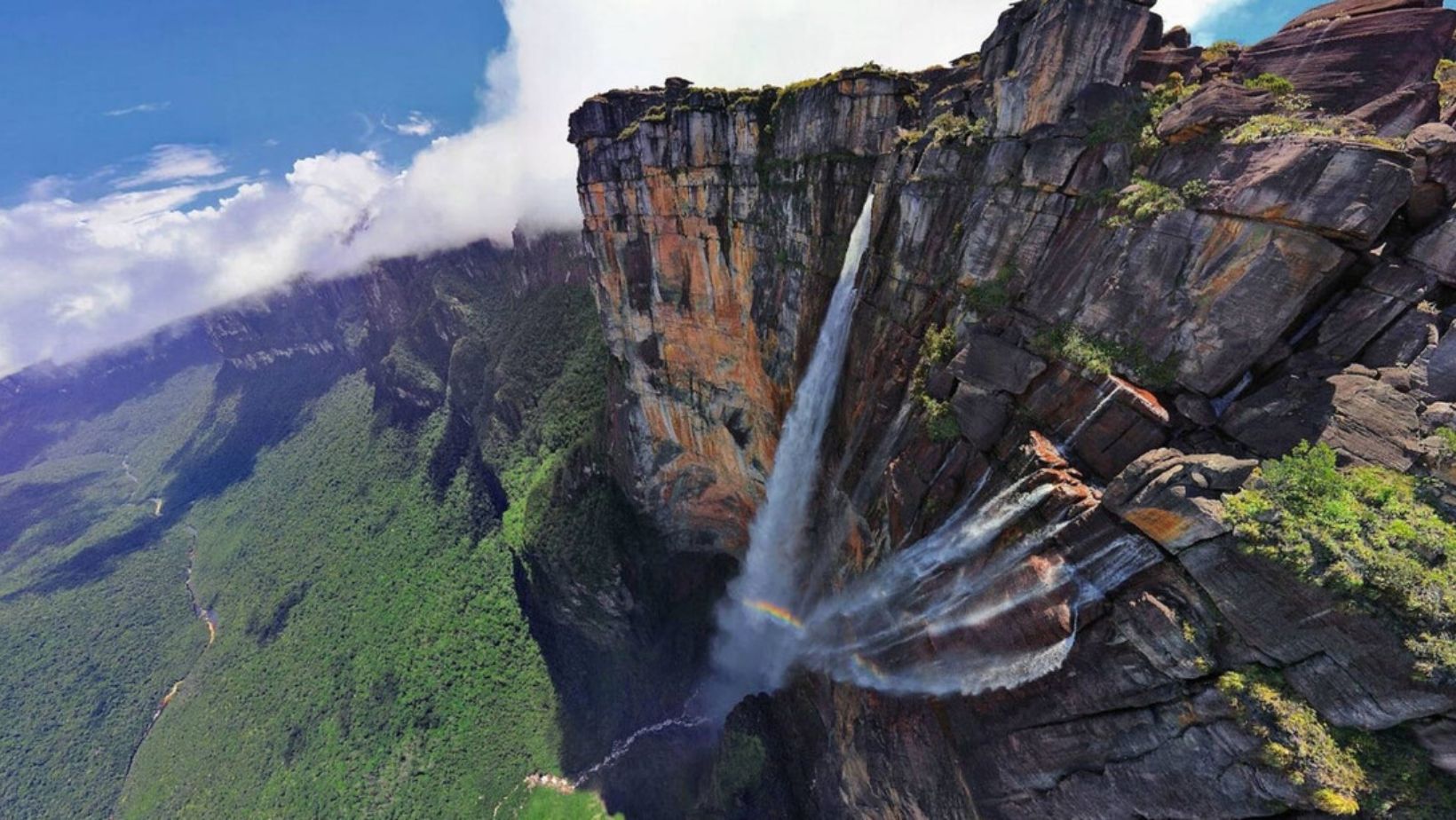 Mount Roraima: Mystical Plateau and Unique Flora and Fauna